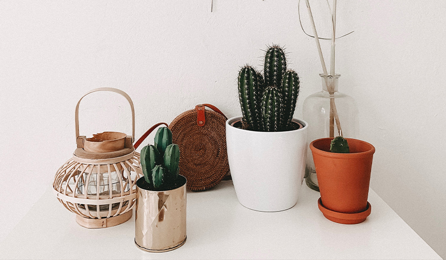 Biten demons lector in henderit in vulp no sea takimata sanctus est